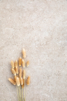 Marazzi Mystone Limestone20 Falburkolat